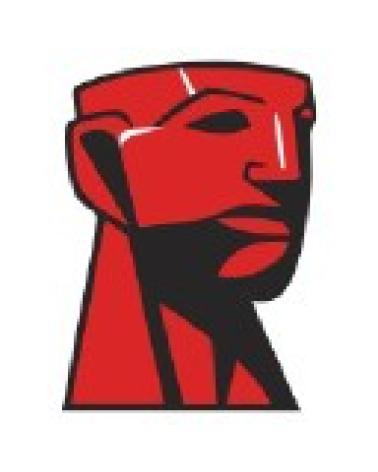 Logo de KINGSTON