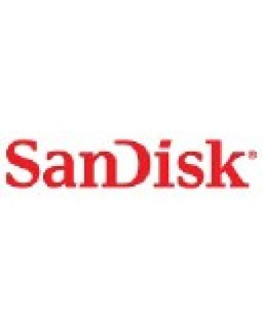Logo de SANDISK