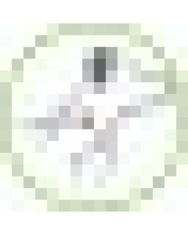 Logo de PETONEER