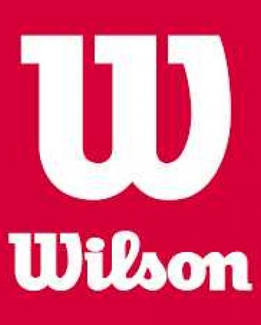 Logo of WILSON