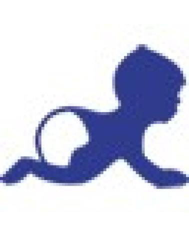 Logo de DODOT