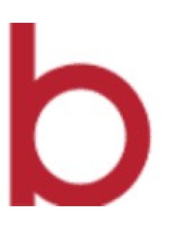Logo of BOSKIN