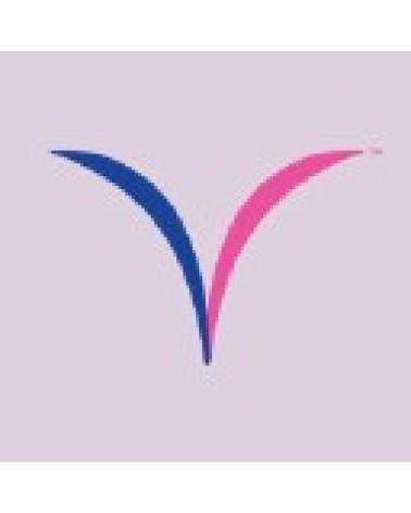 Logo de VAGISIL