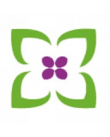 Logo de ZELESSE