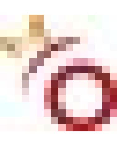 Logo de DEVOR