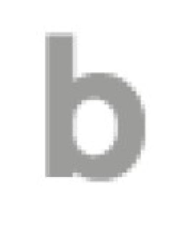 Logo de BELCILS