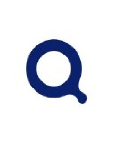 Logo de QUINTON