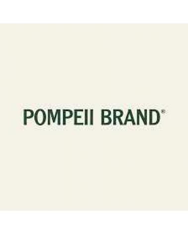 Logo of POMPEII