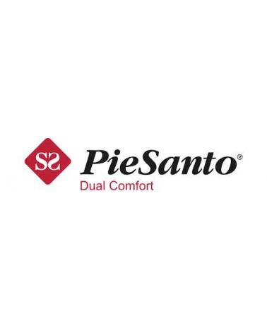 Logo of PIESANTO