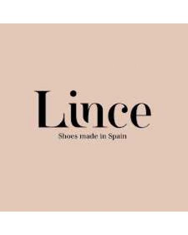 Logo of LINCE