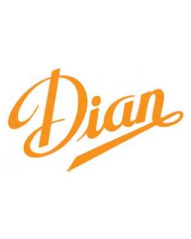 Logo of DIAN