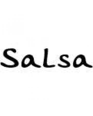 Logo of SALSA