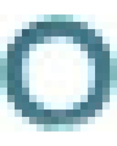 Logo von DAPIS