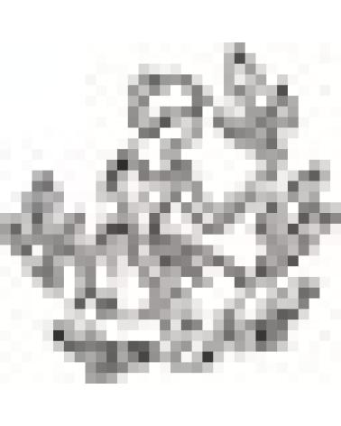 Logo von FARMADORSCH
