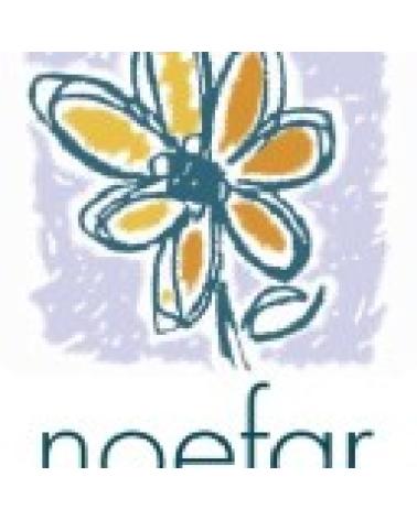Logo von NOEFAR