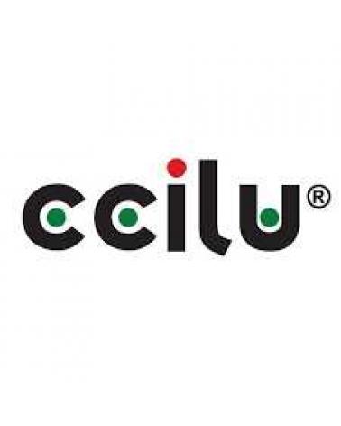 Logo of CCILU