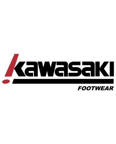 Logo of KAWASAKI