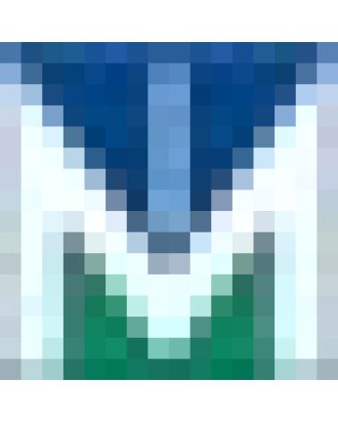 Logo von GLUCOMEN