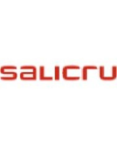 Logo de SALICRU