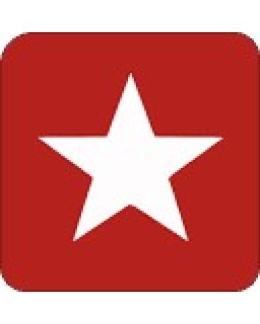 Logo de BOURGINI