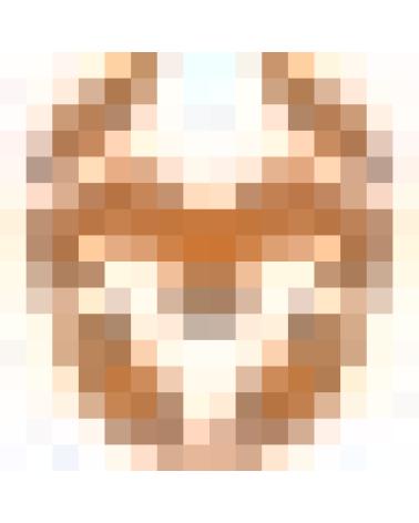 Logo de KROM