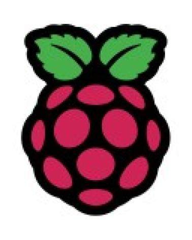 Logo de RASPBERRY