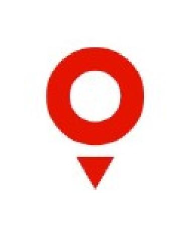 Logo de TOMTOM