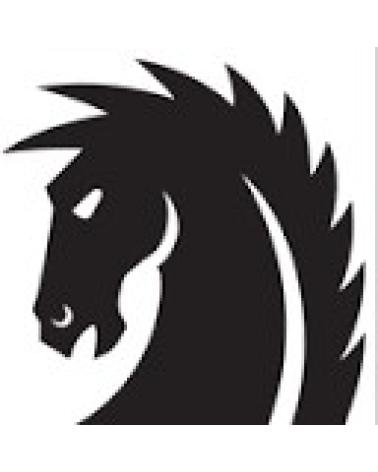 Logo de DARK HORSE