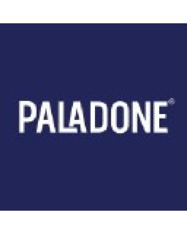 Logo de PALADONE