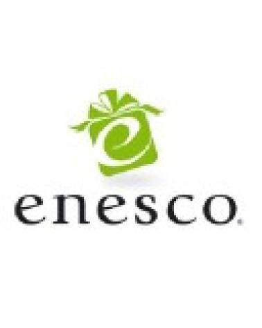 Logo de ENESCO