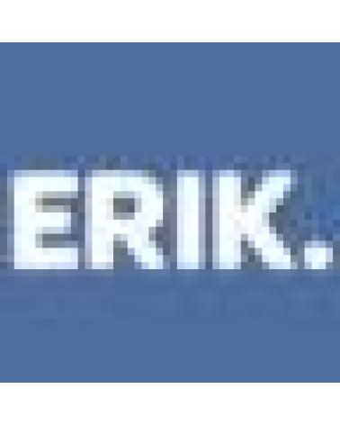 Logo de GRUPO ERIK