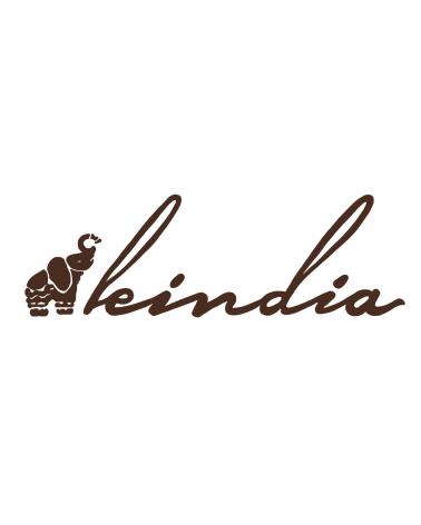 Logo of LEINDIA