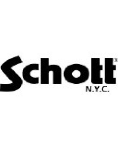 Logo de SCHOTT