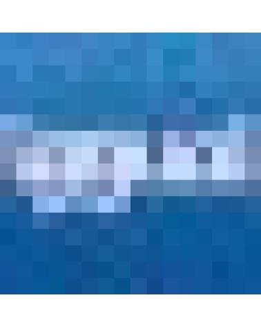 Logo de IGGUAL