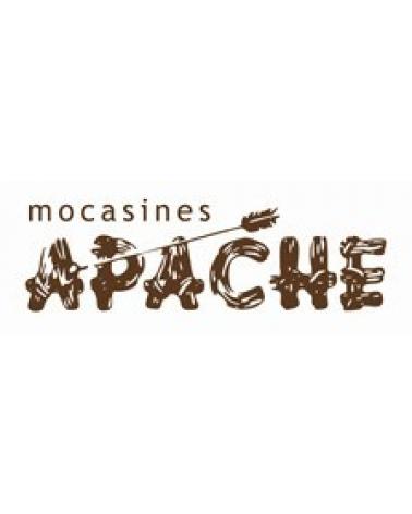 Logo of APACHE