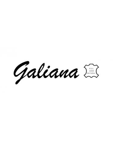 Logo of GALIANA