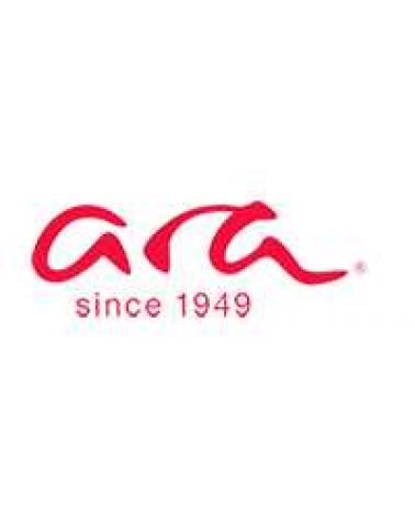 Logo of ARA