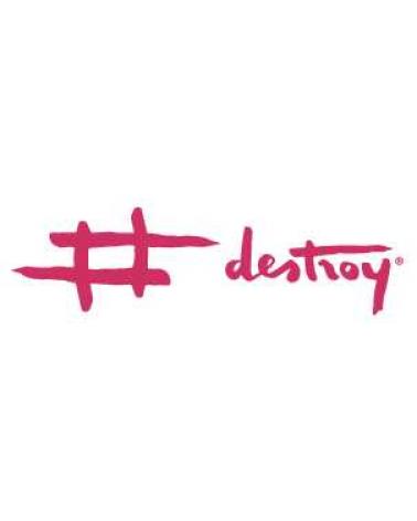 Logo of DESTROY