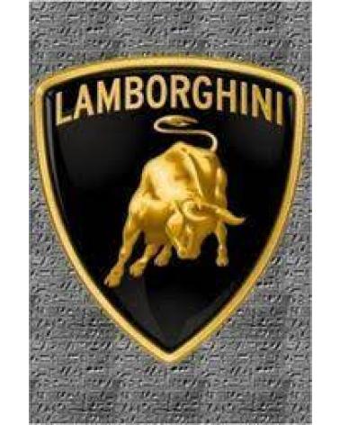 Logo of LAMBORGHINI
