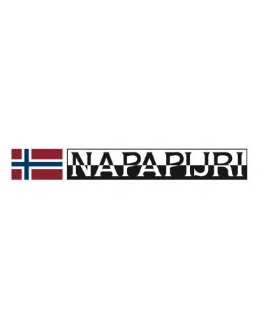 Logo of NAPAPIJRI
