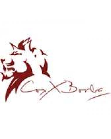 Logo of COXX BORBA