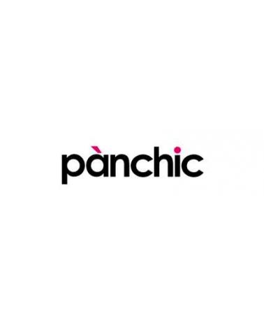 Logo of PANCHIC