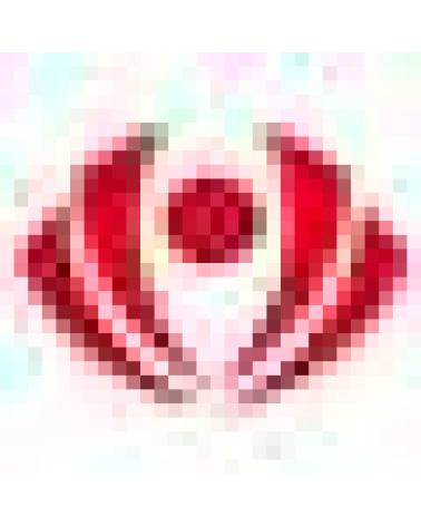 Logo of PANTER