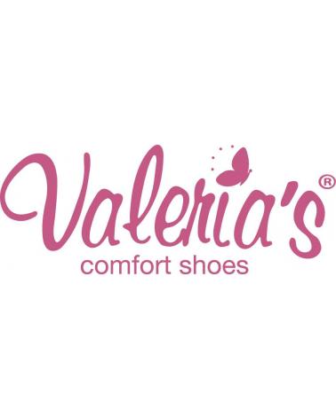 Logo of VALERIAS
