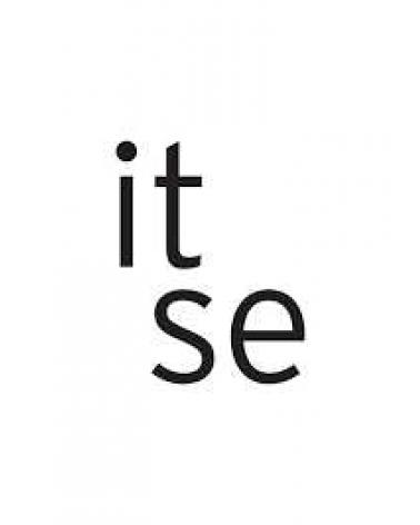 Logo of ITSE