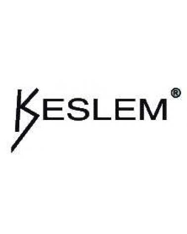 Logo of KESLEM