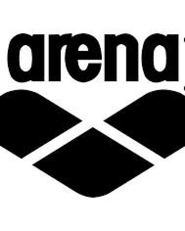 Logo of ARENA