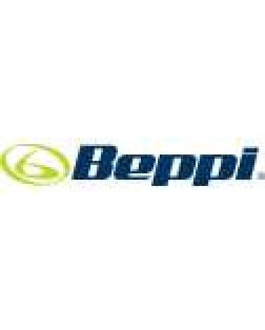 Logo of BEPPI