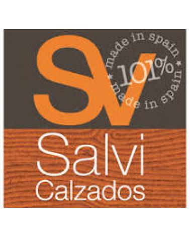 Logo of SALVI