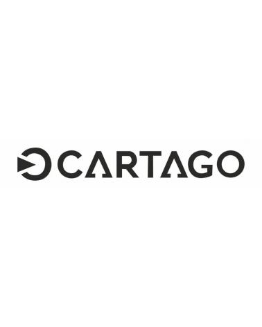 Logo of CARTAGO
